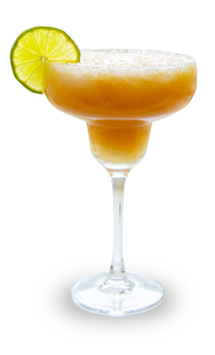 Elixir G Elixir G Ginger Mix, The Top-Shelf Cocktail and Recipe Mix. Shop Now